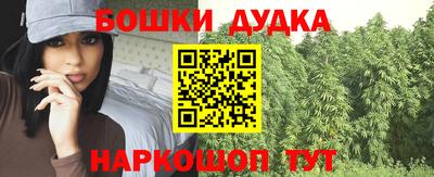 ГАЛЛЮЦИНОГЕННЫЕ ГРИБЫ Кингисепп