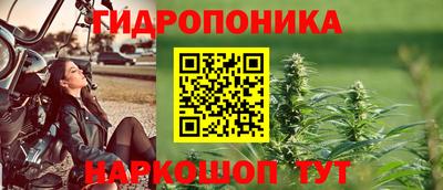 ГАЛЛЮЦИНОГЕННЫЕ ГРИБЫ Кингисепп