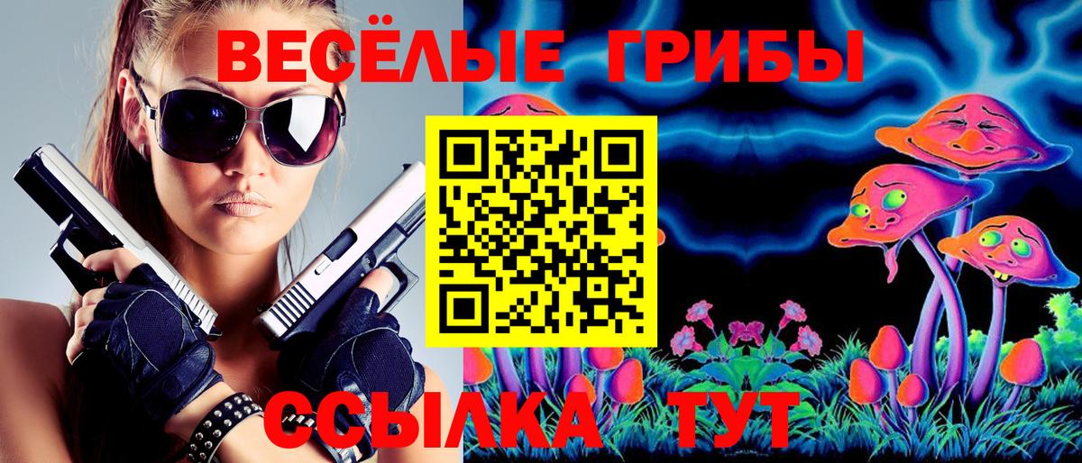 Галлюциногенные грибы Magic Shrooms  Вход с VPN  Ковров  Псилоцибиновые грибы Cubensis 