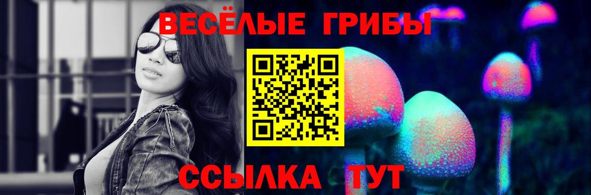 Галлюциногенные грибы MAGIC MUSHROOMS Ковров